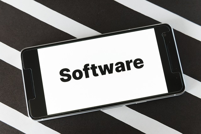 software